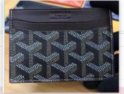 Saint-Sulpice Goyard Leather Mini Wallet Ensemble